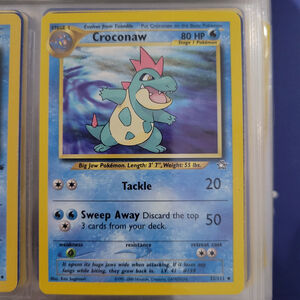 Pokemon Card Croconaw